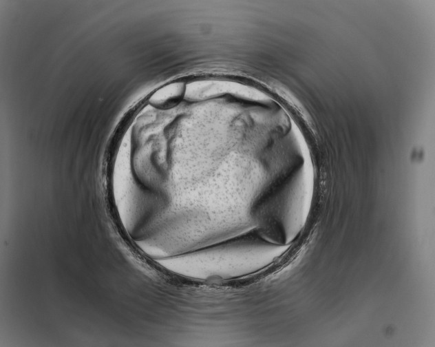 X0000101710981200808071219