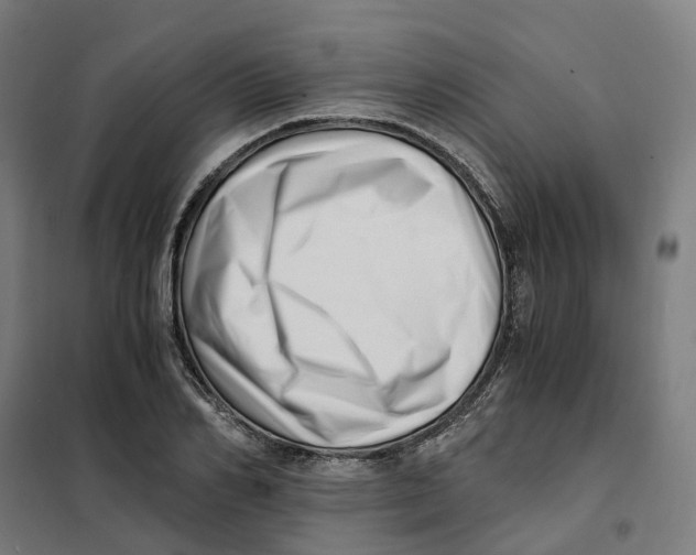 X0000101710982200808071219
