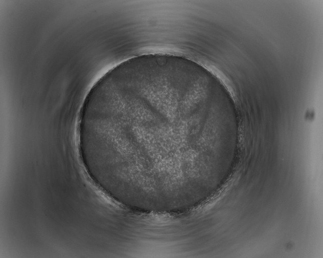 X0000101710983200808071219