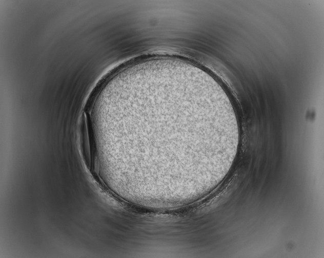 X0000101710984200808071219