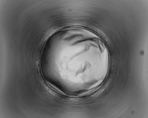 X0000101710985200808071219