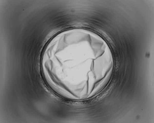 X0000101710986200808071219