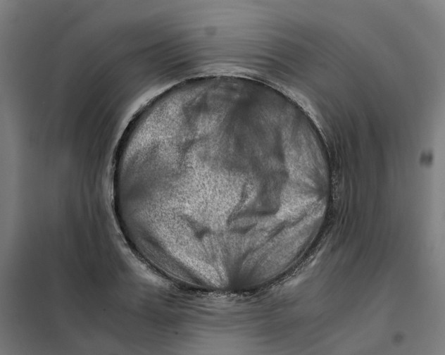 X0000101710987200808071219
