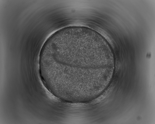 X0000101710988200808071219