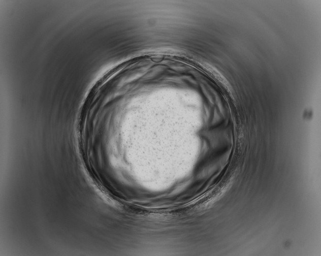 X0000101710989200808071219