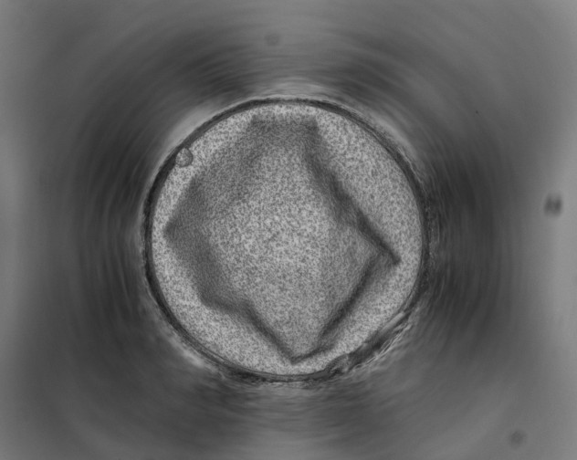 X0000101710990200808071219