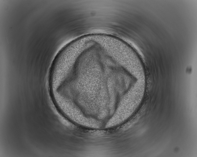 X0000101710991200808071219