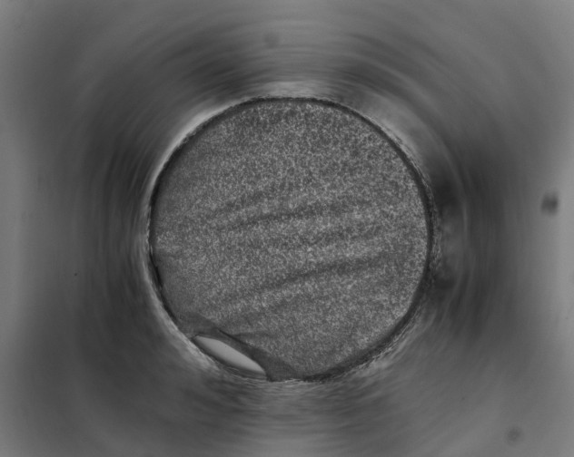X0000101710992200808071219