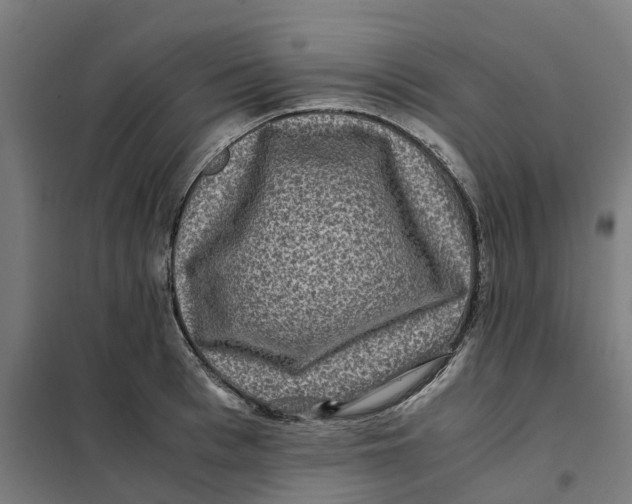 X0000101710993200808071219