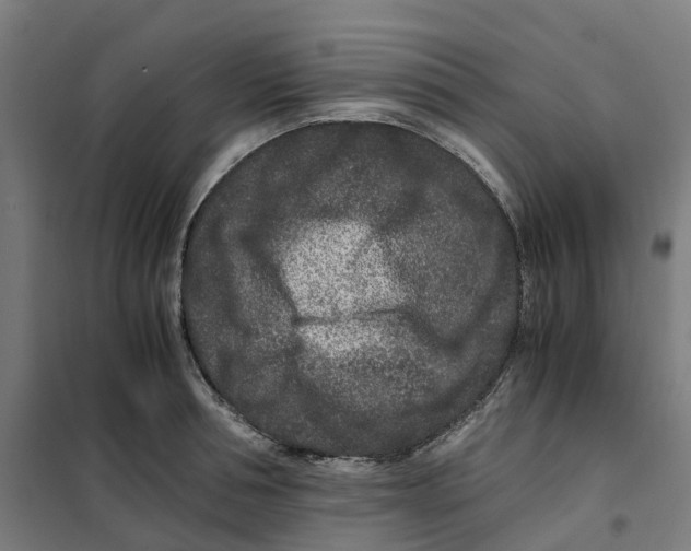 X0000101710994200808071219