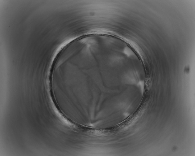 X0000101710995200808071218