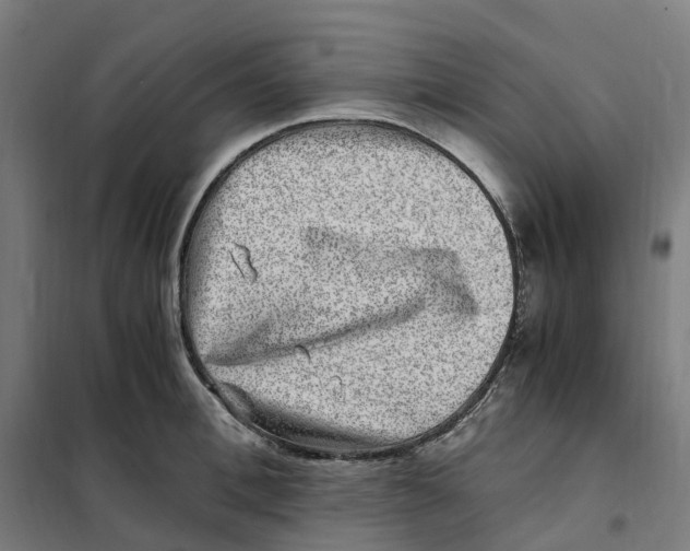 X0000101710996200808071218
