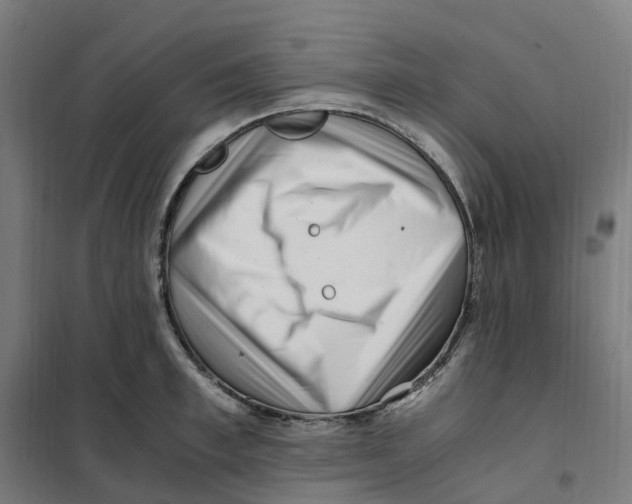 X0000101710997200808071218