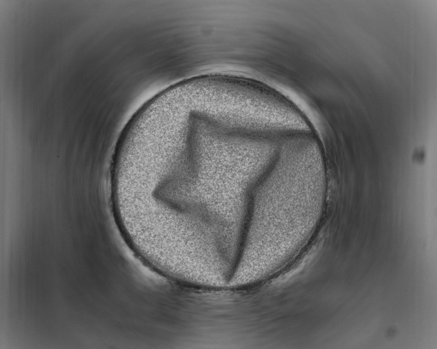 X0000101710999200808071218