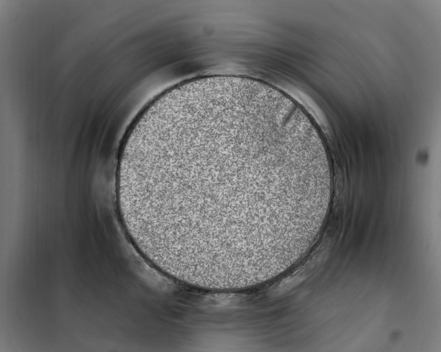 X0000101711000200808071218