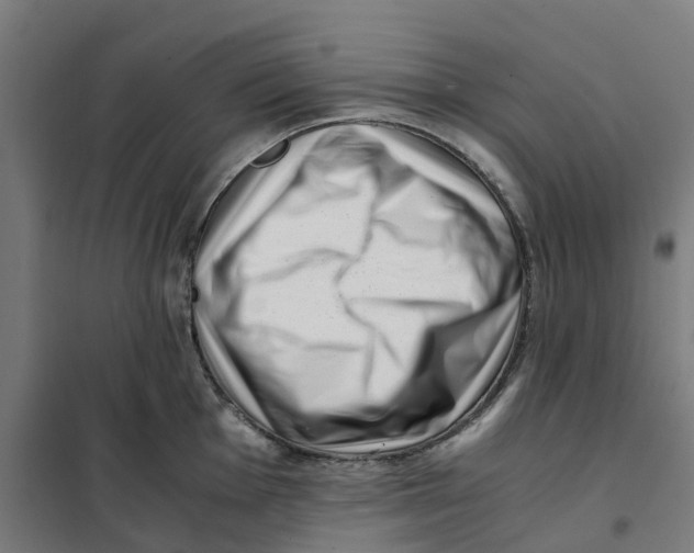 X0000101711001200808071218
