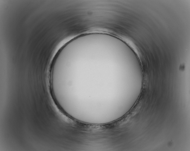 X0000101711003200808071218