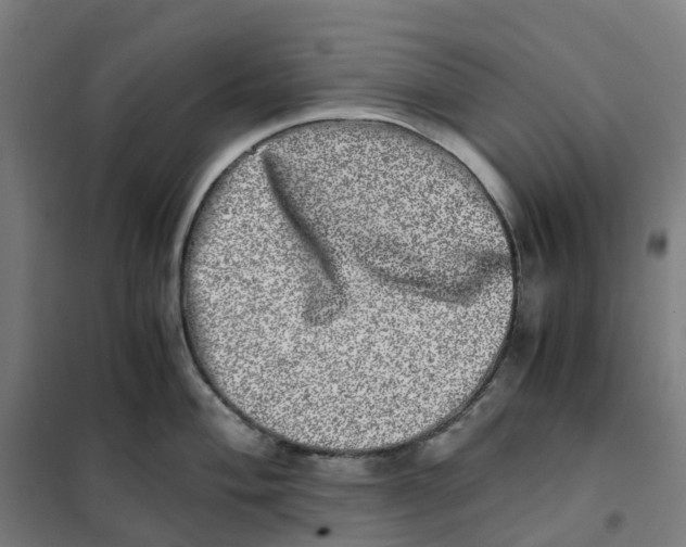 X0000101711004200808071218