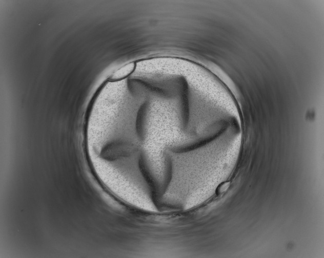 X0000101711005200808071218
