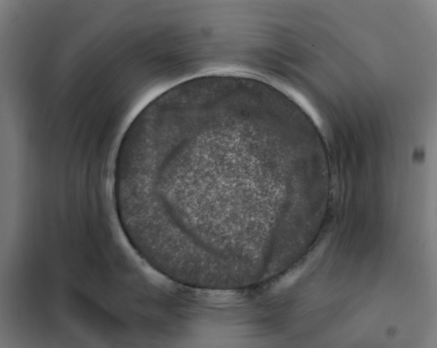 X0000101711007200808071218
