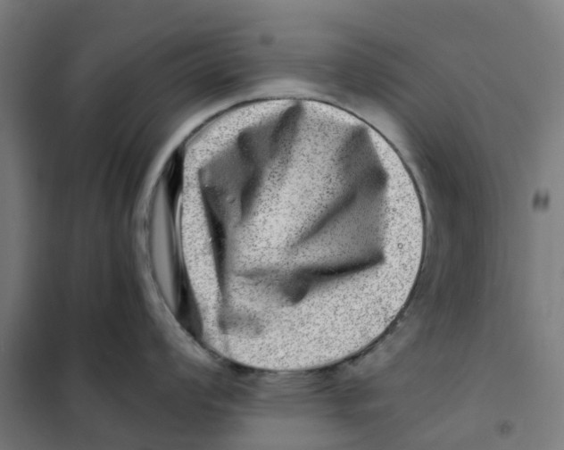 X0000101711008200808071218