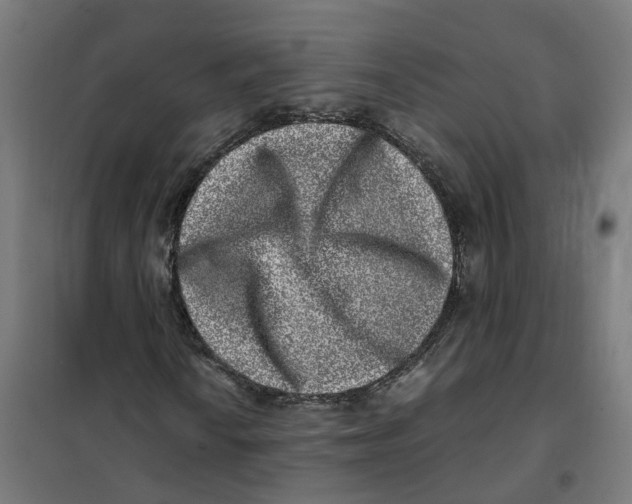 X0000101711010200808071218