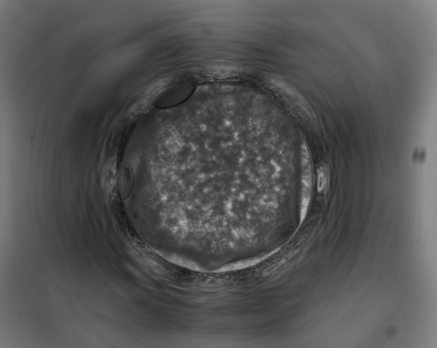 X0000101711011200808071218