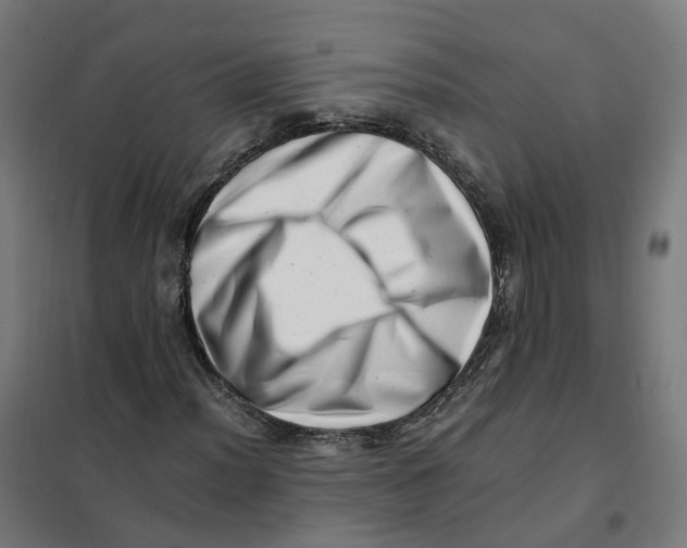 X0000101711012200808071218
