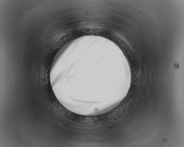 X0000101711013200808071218