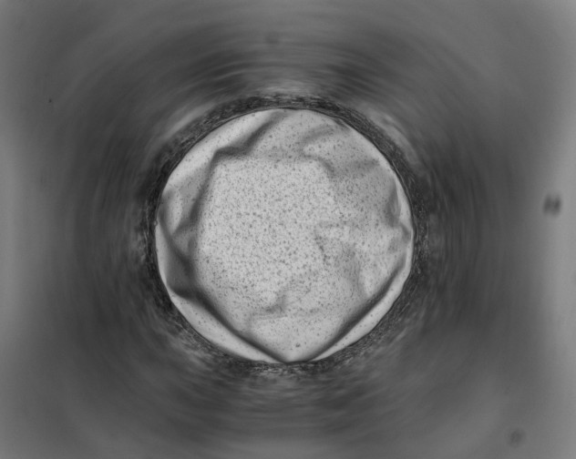 X0000101711015200808071218