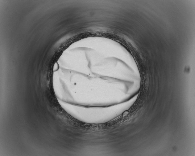 X0000101711016200808071218