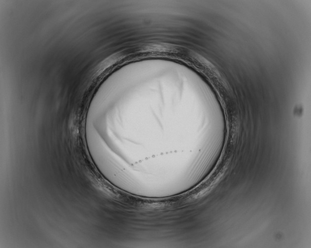 X0000101711017200808071218