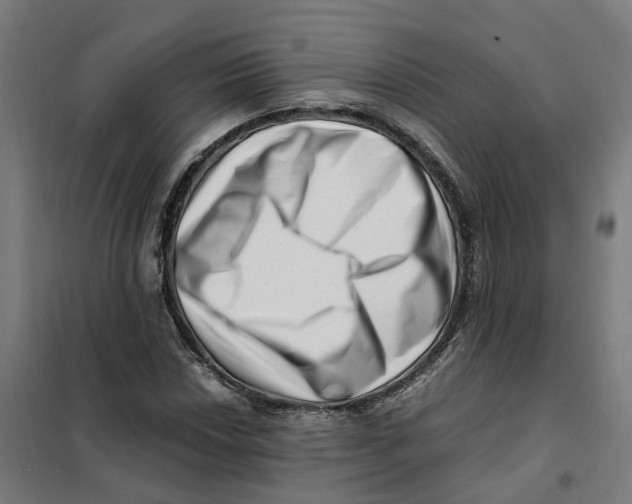 X0000101711018200808071218