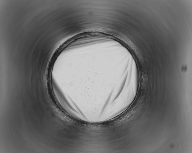 X0000101711020200808071218