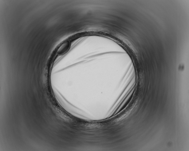 X0000101711021200808071218