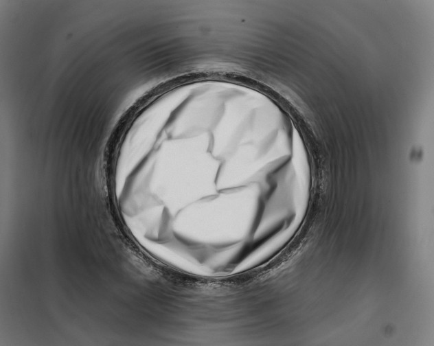 X0000101711022200808071218
