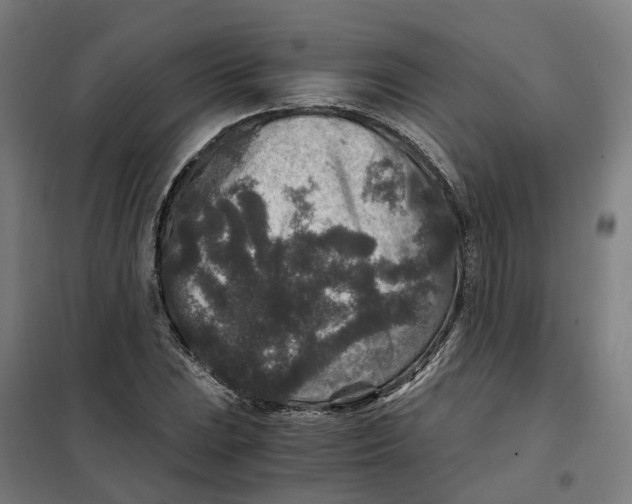 X0000101711023200808071218