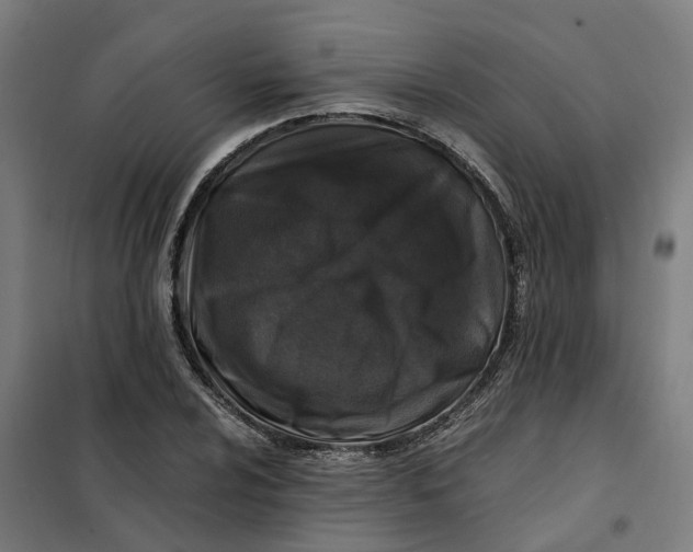 X0000101711024200808071218