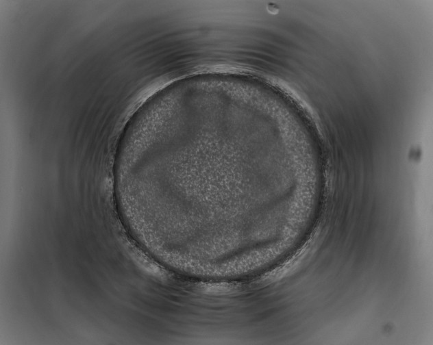 X0000101711025200808071218