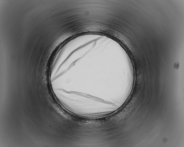 X0000101711026200808071218