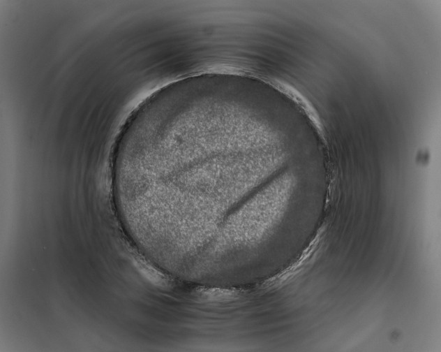X0000101711027200808071218