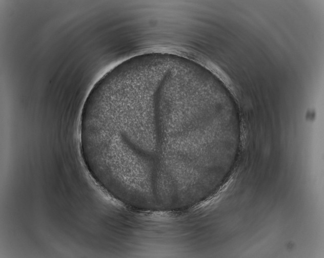 X0000101711028200808071218