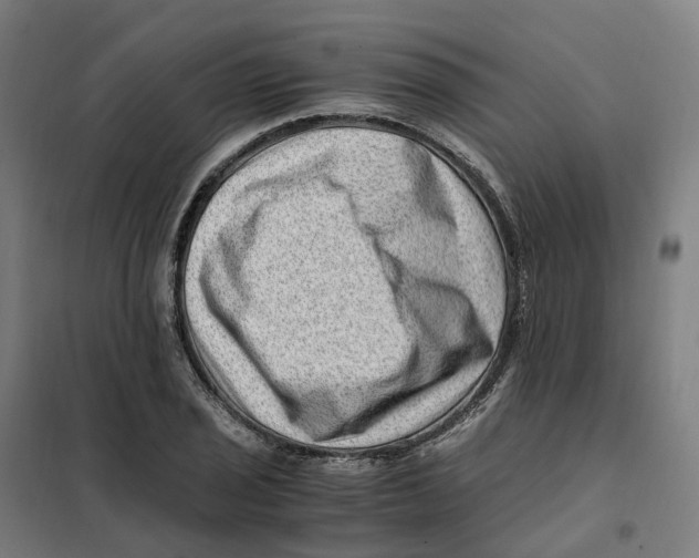 X0000101711029200808071218