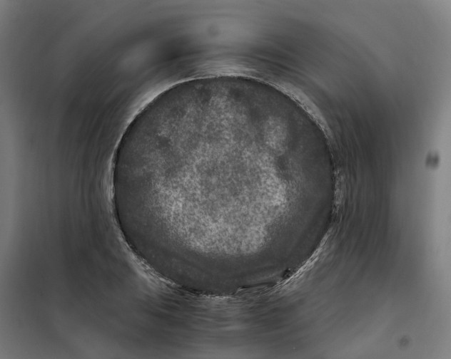 X0000101711031200808071218