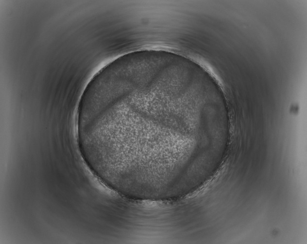 X0000101711032200808071218