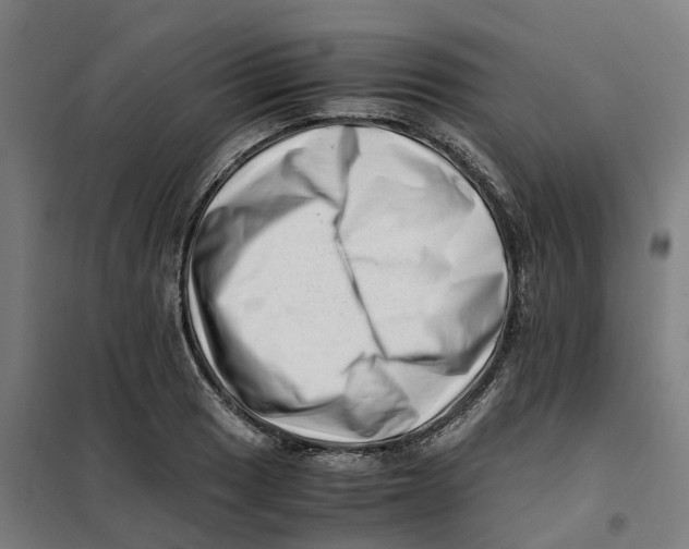 X0000101711033200808071218