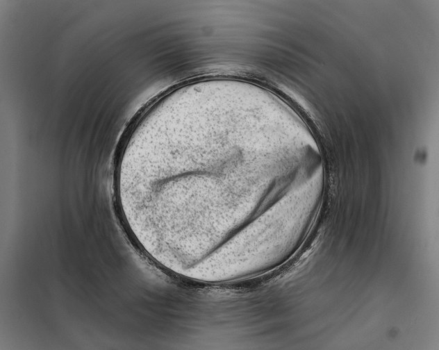 X0000101711034200808071218