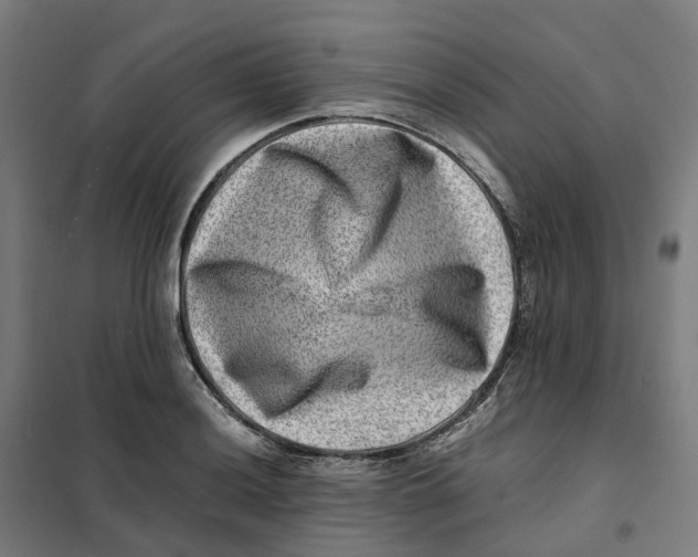 X0000101711036200808071218