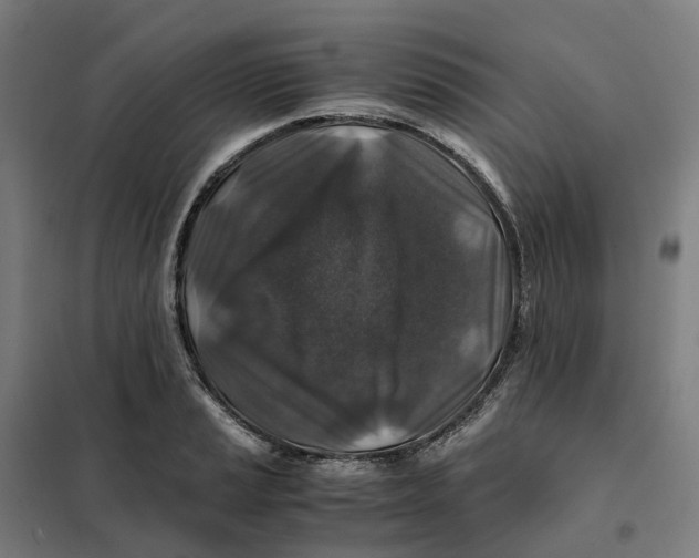 X0000101711037200808071218