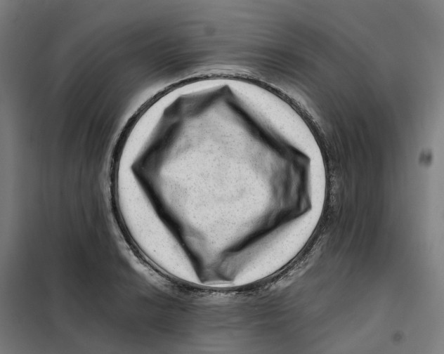 X0000101711038200808071218